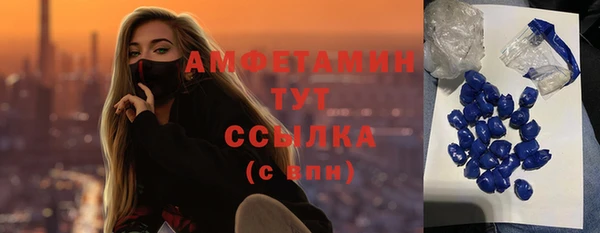 индика Лихославль