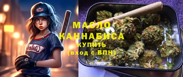 индика Лихославль