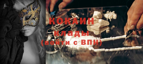 индика Лихославль