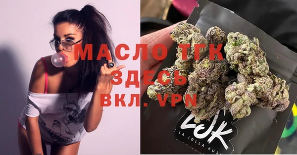 индика Лихославль