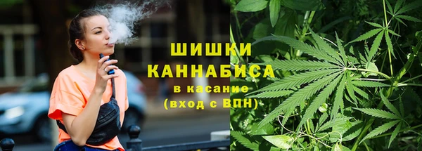 индика Лихославль