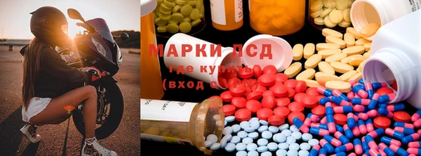 сатива Липки