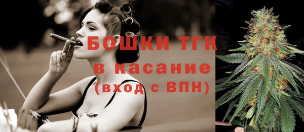 сатива Липки