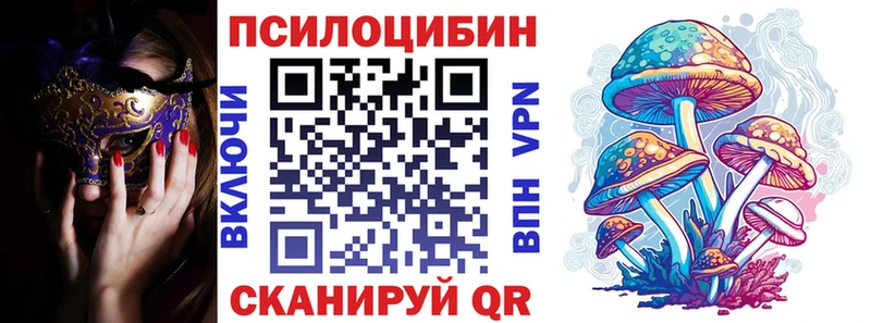 Псилоцибиновые грибы Psilocybine cubensis  omg зеркало  Кочубеевское  наркошоп 